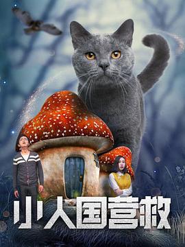 猫咪www最新地域网名怎么取