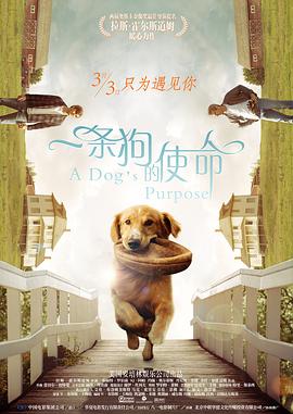亚洲国产精品网站久久