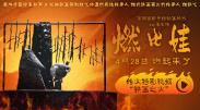 别去地下室在线看完整版电影