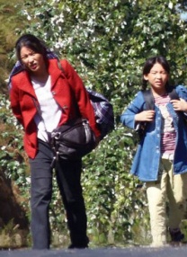 草字头一个数