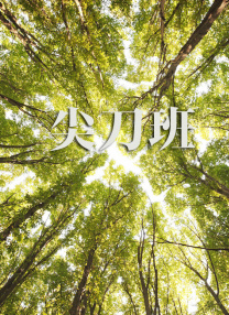 视频123区